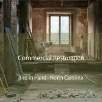 Commercial Restoration Bird In Hand - North Carolina