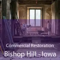 Commercial Restoration Bishop Hill - Iowa