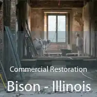 Commercial Restoration Bison - Illinois