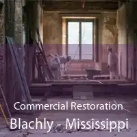 Commercial Restoration Blachly - Mississippi