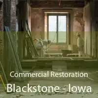 Commercial Restoration Blackstone - Iowa