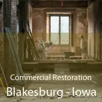 Commercial Restoration Blakesburg - Iowa