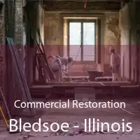 Commercial Restoration Bledsoe - Illinois