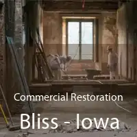 Commercial Restoration Bliss - Iowa