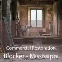 Commercial Restoration Blocker - Mississippi