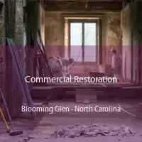 Commercial Restoration Blooming Glen - North Carolina