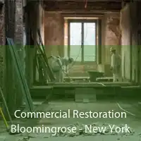 Commercial Restoration Bloomingrose - New York