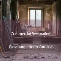 Commercial Restoration Blossburg - North Carolina