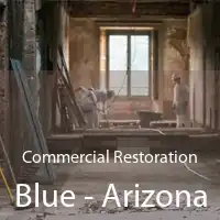 Commercial Restoration Blue - Arizona