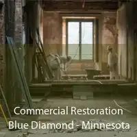 Commercial Restoration Blue Diamond - Minnesota