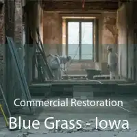 Commercial Restoration Blue Grass - Iowa