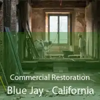Commercial Restoration Blue Jay - California