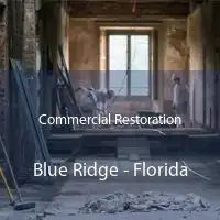 Commercial Restoration Blue Ridge - Florida