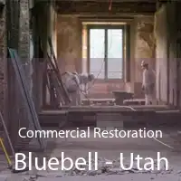 Commercial Restoration Bluebell - Utah