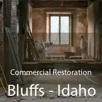 Commercial Restoration Bluffs - Idaho