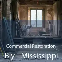 Commercial Restoration Bly - Mississippi