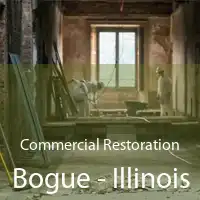 Commercial Restoration Bogue - Illinois