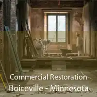 Commercial Restoration Boiceville - Minnesota