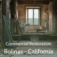 Commercial Restoration Bolinas - California
