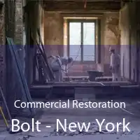 Commercial Restoration Bolt - New York