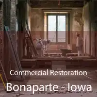 Commercial Restoration Bonaparte - Iowa