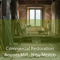 Commercial Restoration Boones Mill - New Mexico