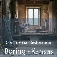 Commercial Restoration Boring - Kansas