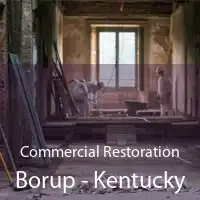 Commercial Restoration Borup - Kentucky