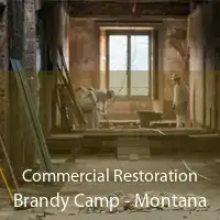 Commercial Restoration Brandy Camp - Montana