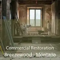 Commercial Restoration Breezewood - Montana