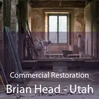 Commercial Restoration Brian Head - Utah