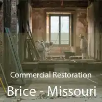 Commercial Restoration Brice - Missouri