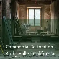 Commercial Restoration Bridgeville - California