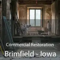 Commercial Restoration Brimfield - Iowa
