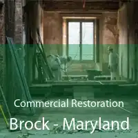 Commercial Restoration Brock - Maryland