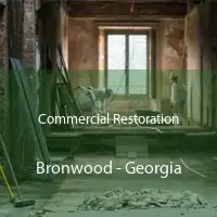 Commercial Restoration Bronwood - Georgia