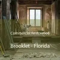 Commercial Restoration Brooklet - Florida