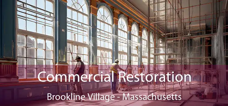 Commercial Restoration Brookline Village - Massachusetts