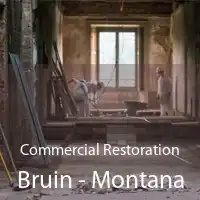 Commercial Restoration Bruin - Montana