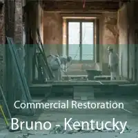 Commercial Restoration Bruno - Kentucky