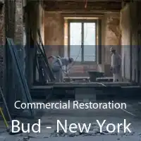 Commercial Restoration Bud - New York