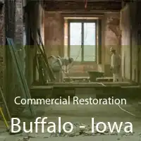 Commercial Restoration Buffalo - Iowa
