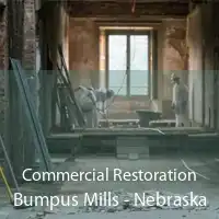 Commercial Restoration Bumpus Mills - Nebraska