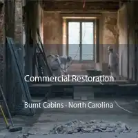 Commercial Restoration Burnt Cabins - North Carolina