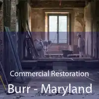 Commercial Restoration Burr - Maryland