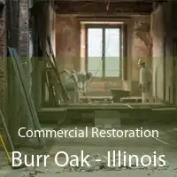 Commercial Restoration Burr Oak - Illinois