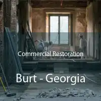 Commercial Restoration Burt - Georgia