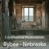 Commercial Restoration Bybee - Nebraska