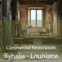 Commercial Restoration Byhalia - Louisiana