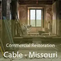 Commercial Restoration Cable - Missouri